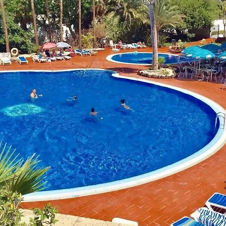 Shining Gold By Deihu Experiences